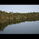 Das Ufer des Glenelg Rivers